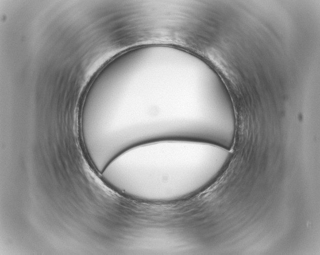X0000088171468200705150938