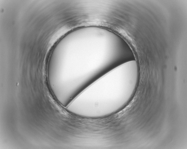 X0000088171469200705150938