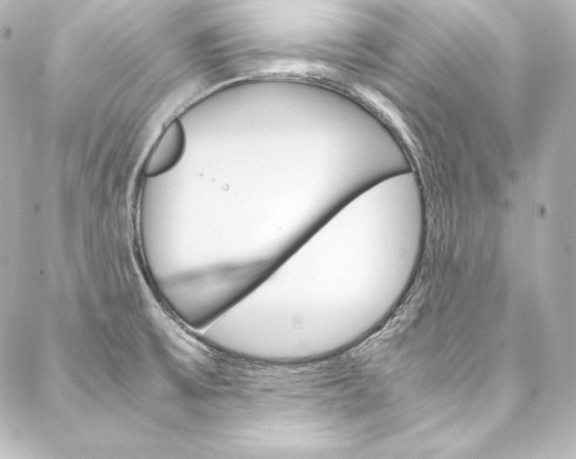 X0000088171475200705150938
