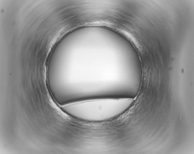 X0000088171476200705150938