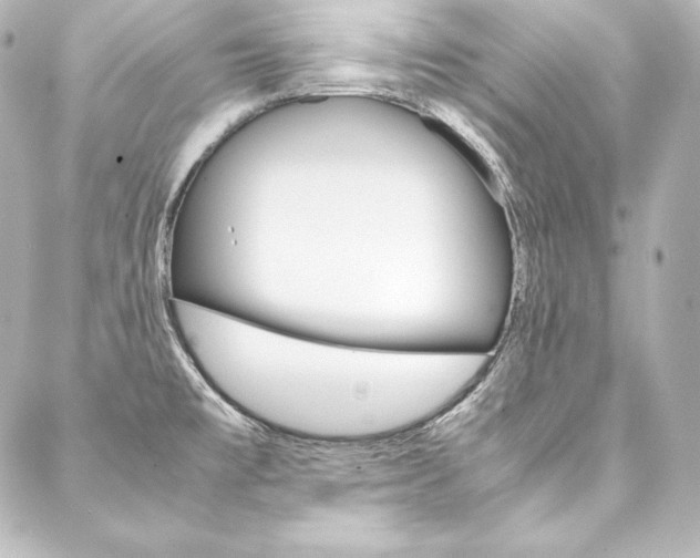 X0000088171477200705150938