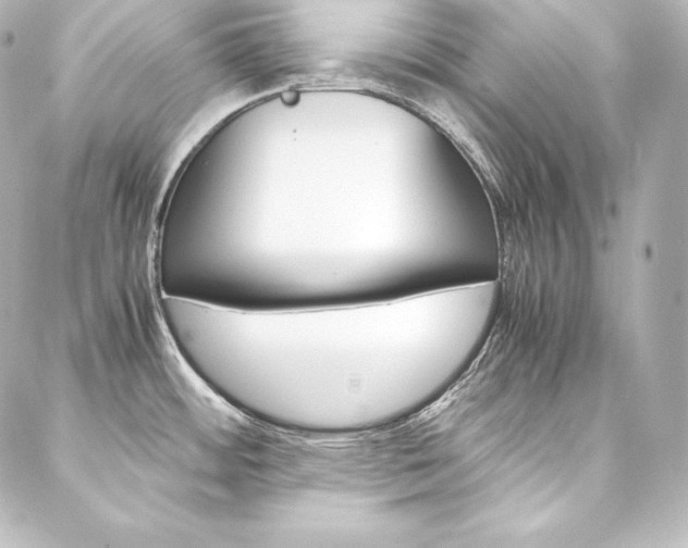 X0000088171484200705150938