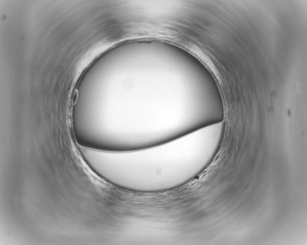 X0000088171485200705150938