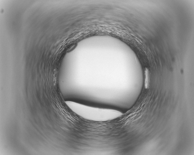 X0000088171491200705150937