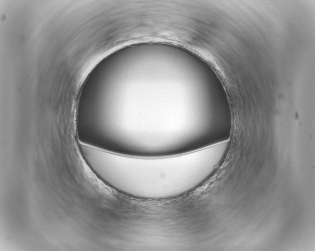 X0000088171524200705150938