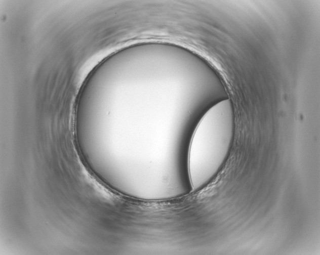 X0000088171527200705150938