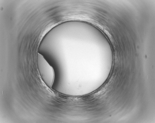 X0000088171529200705150938