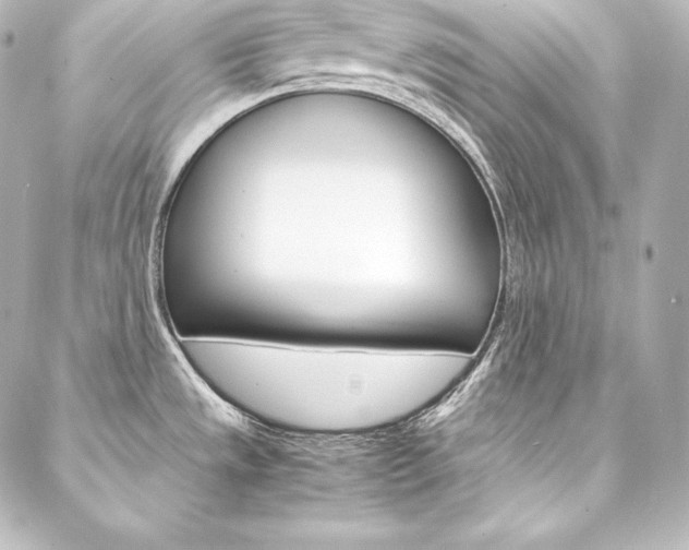X0000088171533200705150938