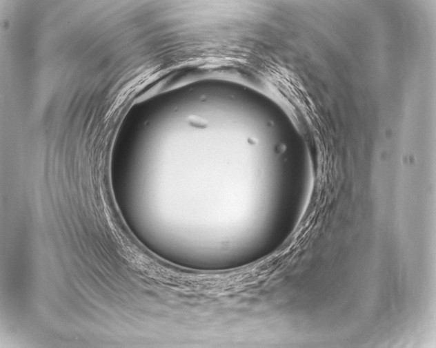 X0000088170001200705151200