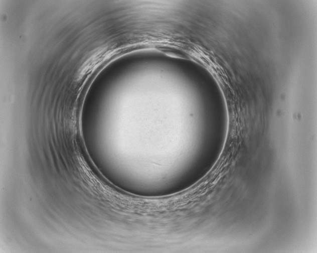 X0000088170002200705151200