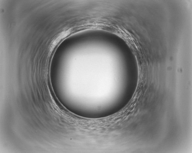 X0000088170003200705151200