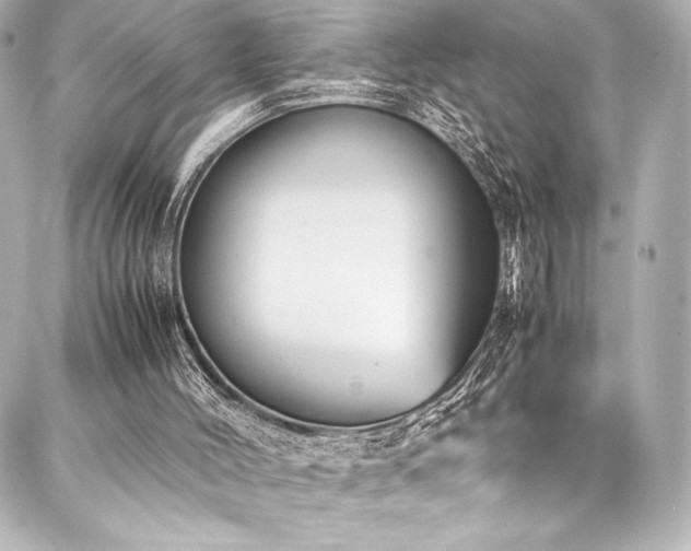 X0000088170004200705151200