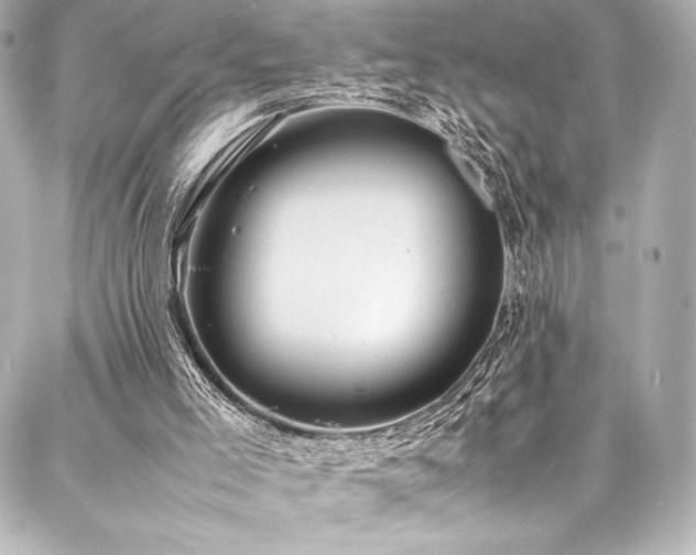 X0000088170005200705151200