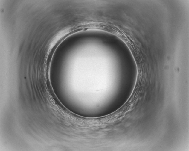 X0000088170006200705151200