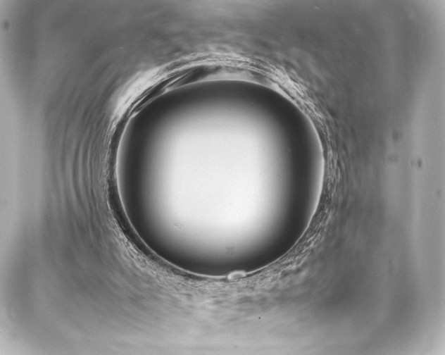 X0000088170007200705151200