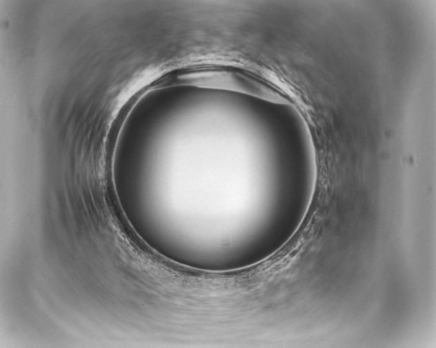 X0000088170008200705151200