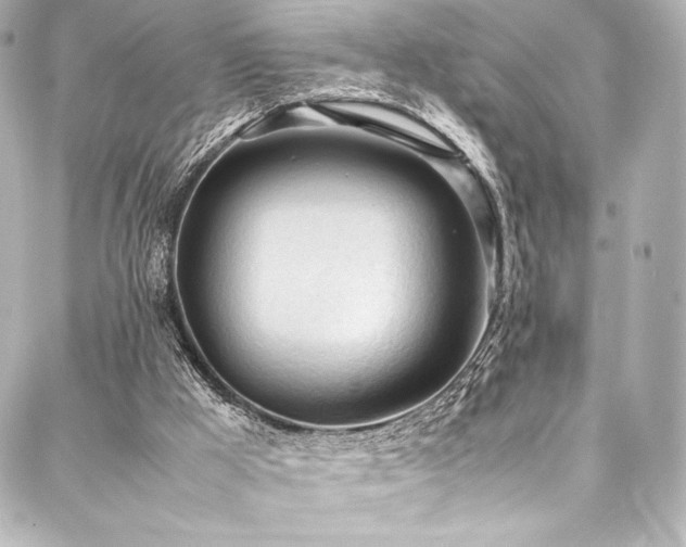 X0000088170009200705151200