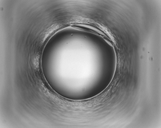 X0000088170010200705151200