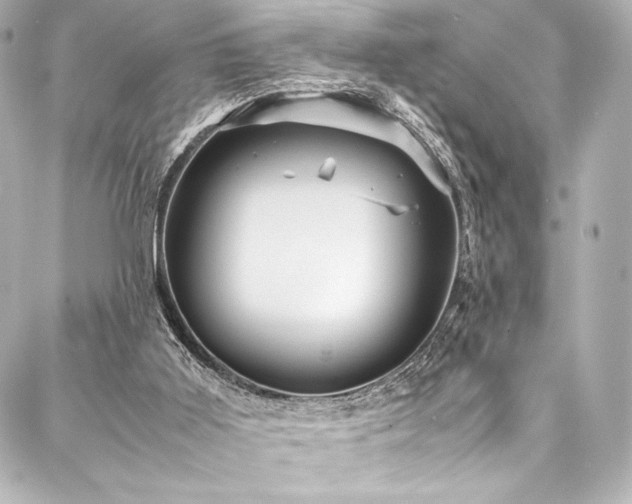 X0000088170011200705151200