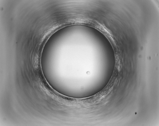 X0000088170012200705151200