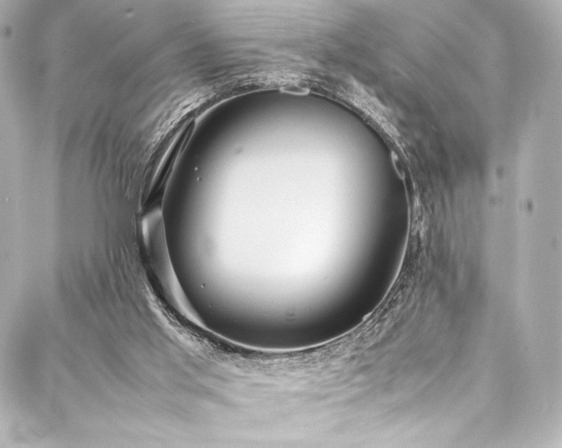 X0000088170013200705151200