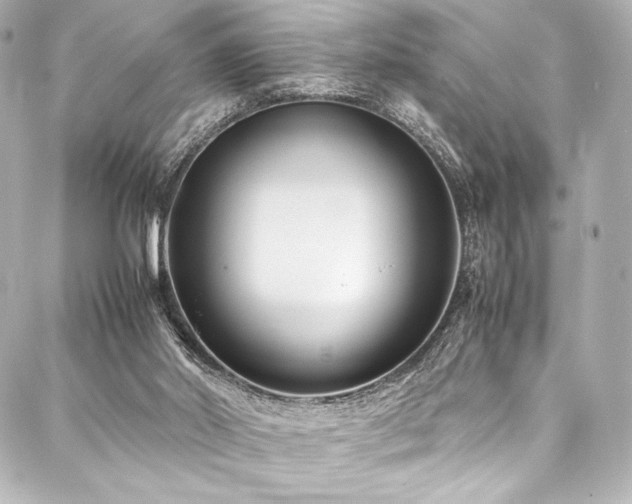 X0000088170014200705151200