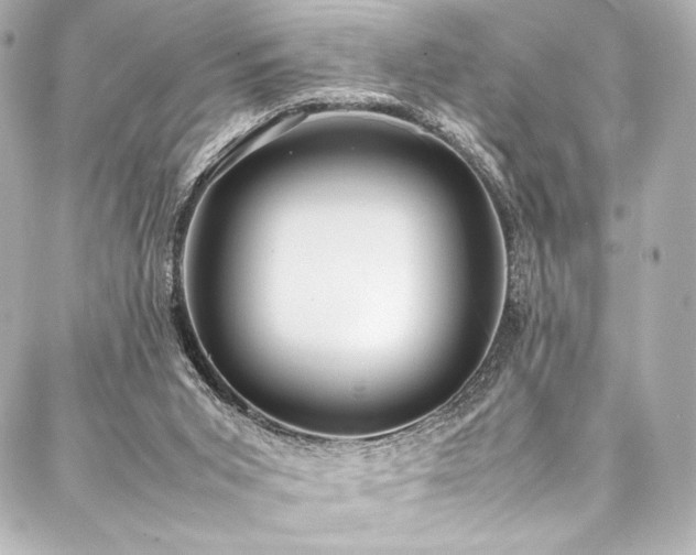 X0000088170015200705151200