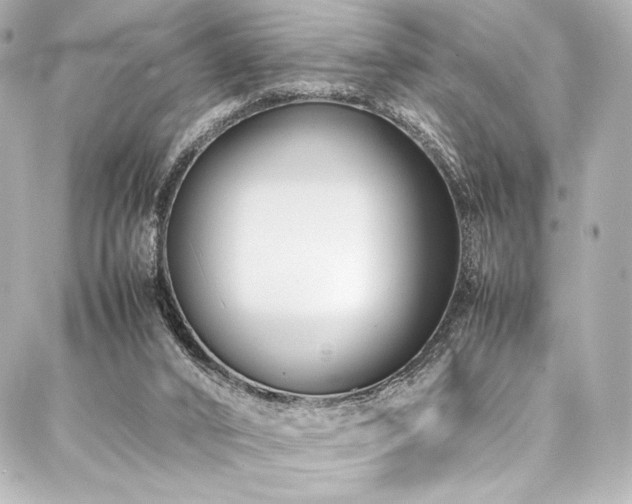 X0000088170016200705151200