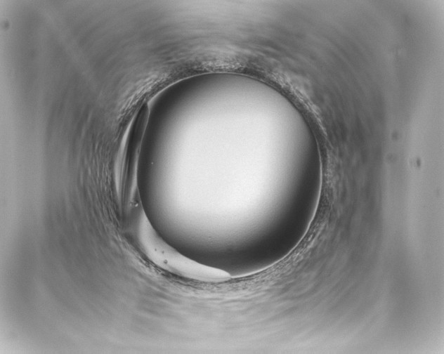 X0000088170017200705151200