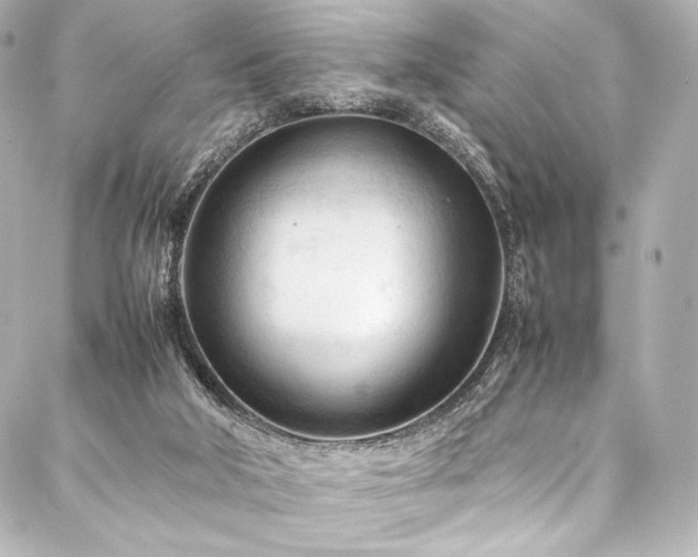 X0000088170018200705151200