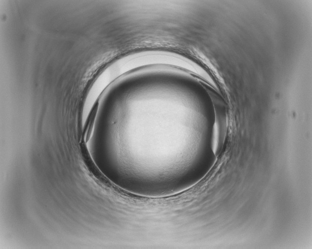 X0000088170019200705151200