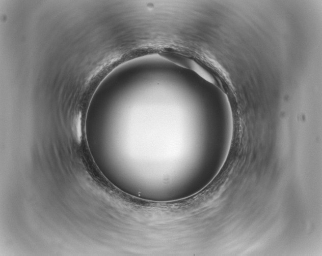 X0000088170020200705151200