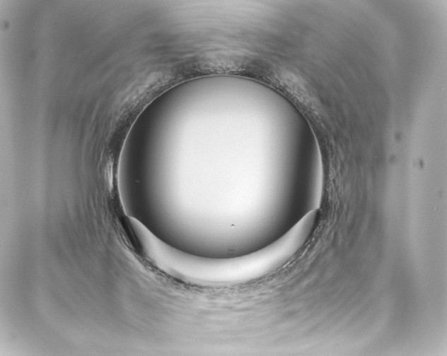 X0000088170021200705151200