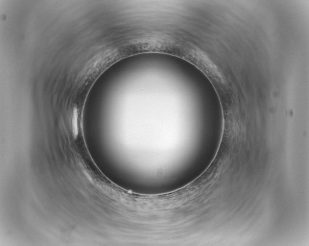 X0000088170022200705151200