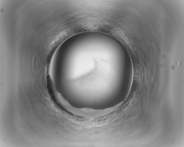 X0000088170023200705151200