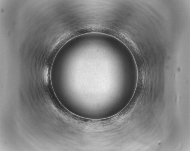 X0000088170024200705151200