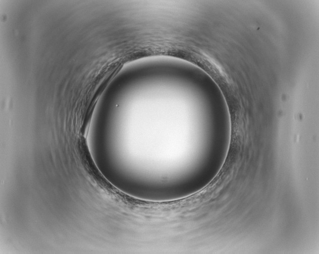 X0000088170025200705151200