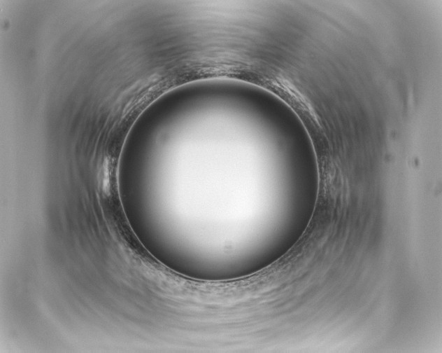 X0000088170026200705151200