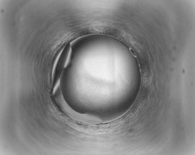 X0000088170027200705151200