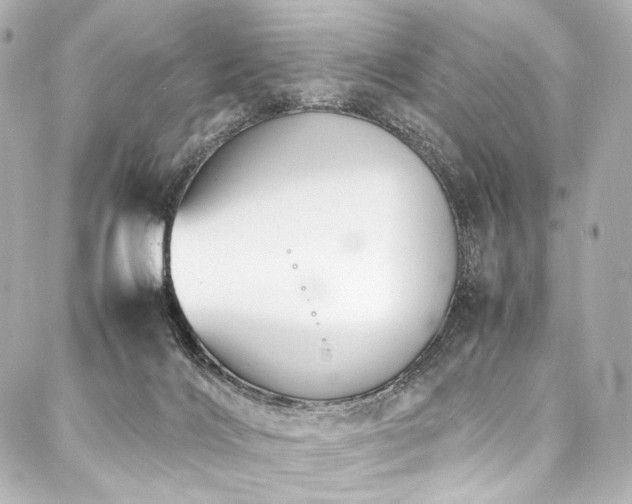 X0000088170028200705151200