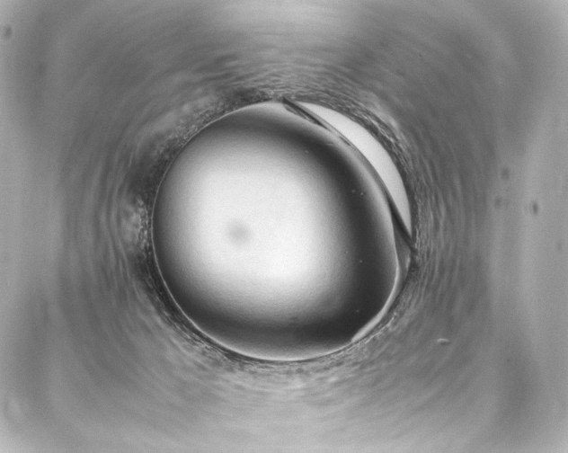 X0000088170029200705151200