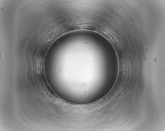 X0000088170030200705151200