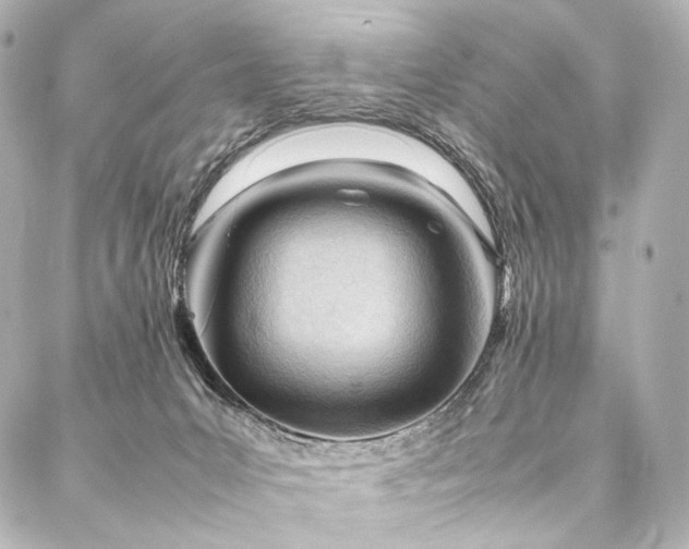 X0000088170031200705151200