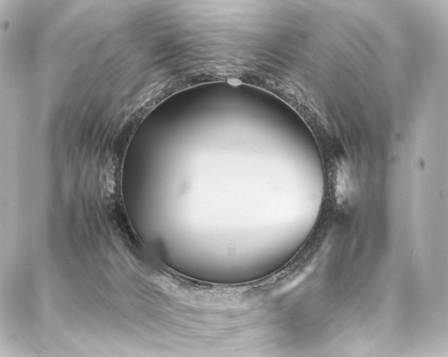 X0000088170032200705151200