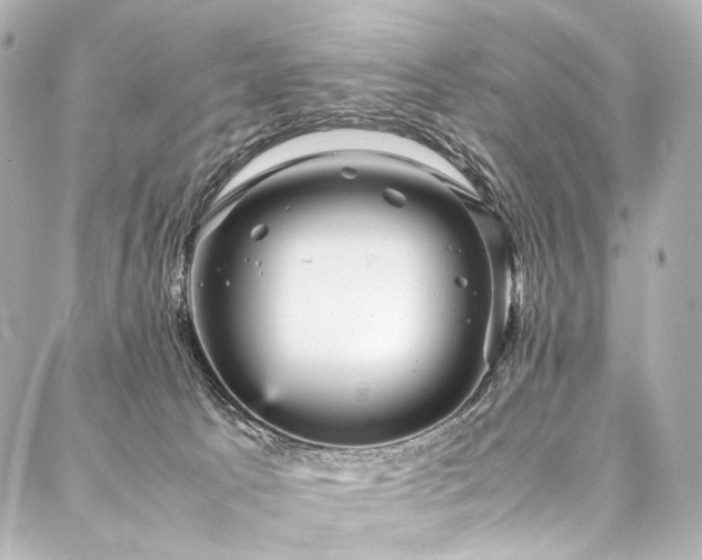 X0000088170033200705151200