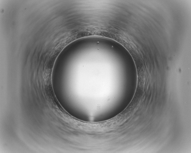 X0000088170034200705151200