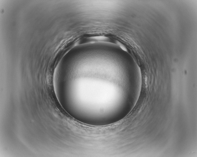 X0000088170035200705151200