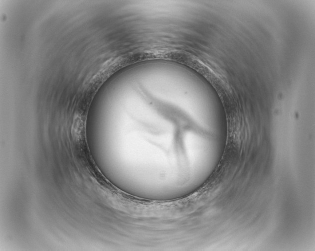 X0000088170036200705151200