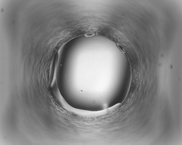 X0000088170037200705151200