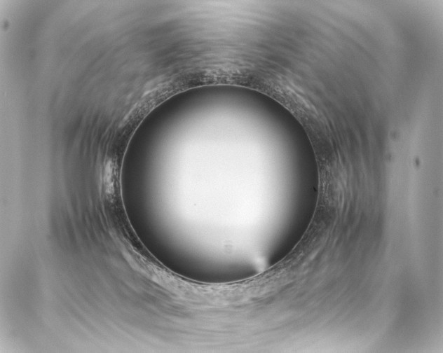 X0000088170038200705151200